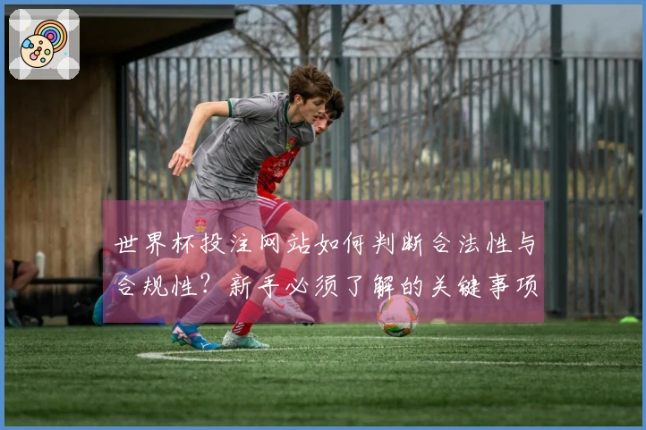 世界杯投注网站如何判断合法性与合规性？新手必须了解的关键事项