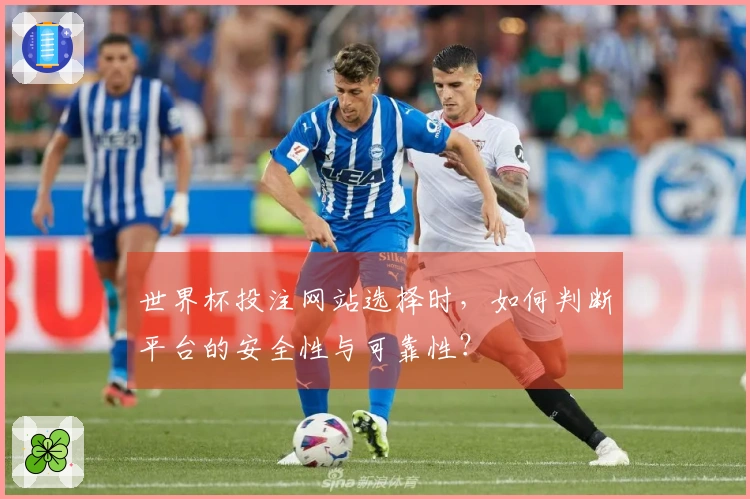 世界杯投注网站选择时，如何判断平台的安全性与可靠性？