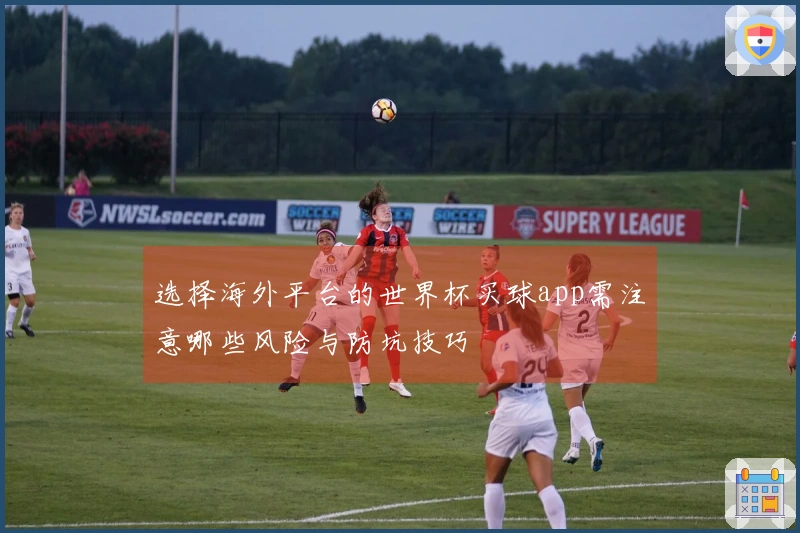 选择海外平台的世界杯买球app需注意哪些风险与防坑技巧