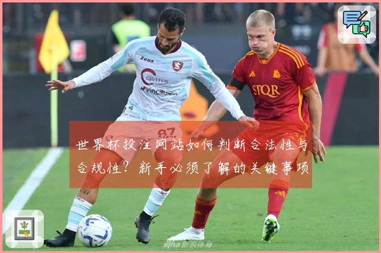 世界杯投注网站如何判断合法性与合规性？新手必须了解的关键事项