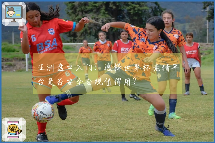 亚洲盘口入门：选择世界杯竞猜平台是否安全合规值得用？